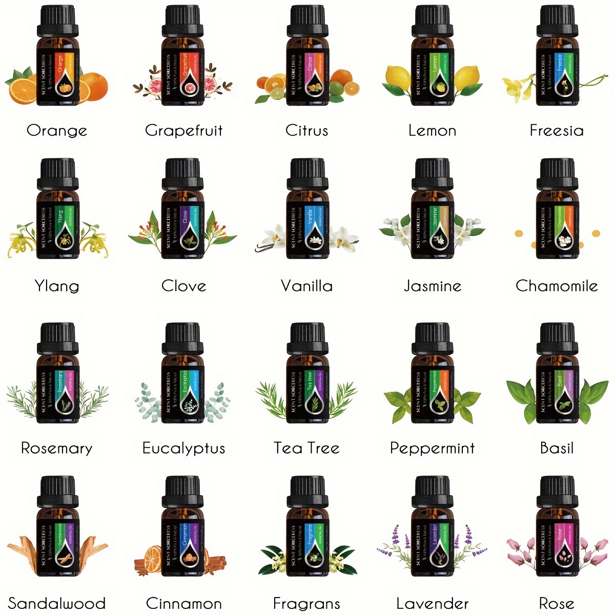 Set di 20 Oli Essenziali Class - Candle Making Kits recensione e prezzo